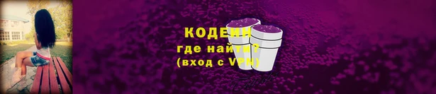 шишки Армянск