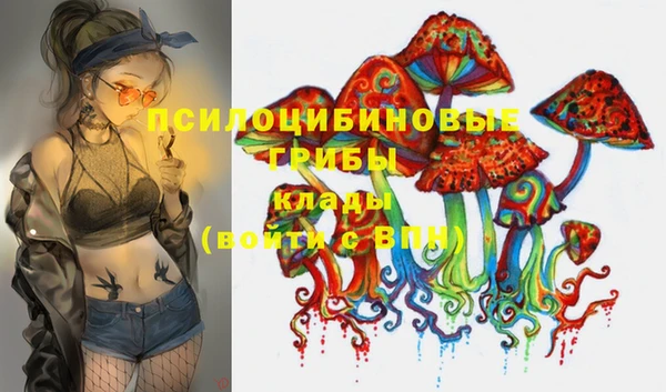 шишки Армянск