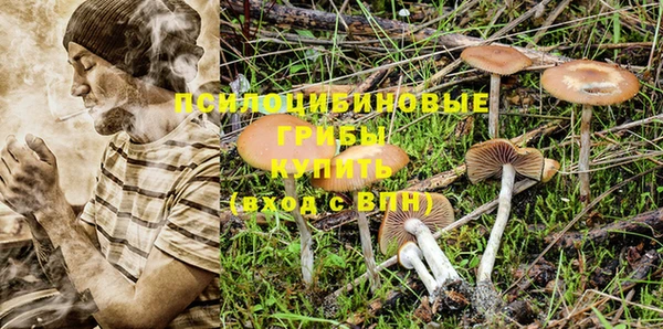 шишки Армянск
