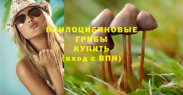 шишки Армянск