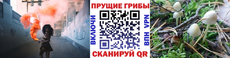 Галлюциногенные грибы GOLDEN TEACHER  Спасск-Дальний 