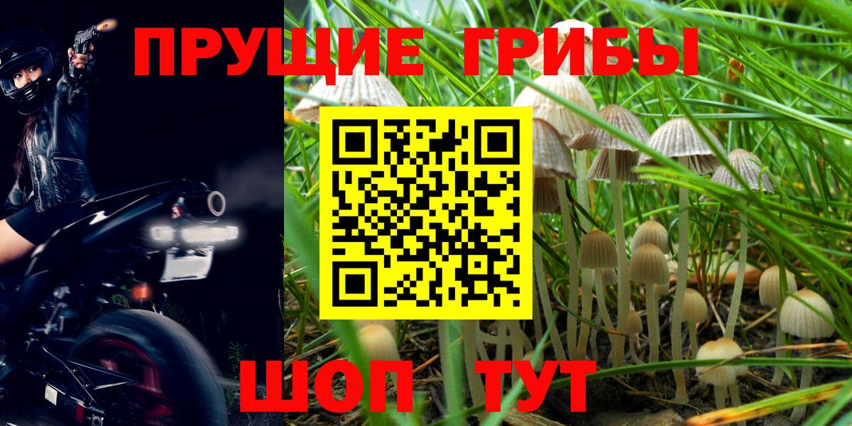 дарнет шоп  Вход с VPN  Спасск-Дальний  Галлюциногенные грибы Cubensis 